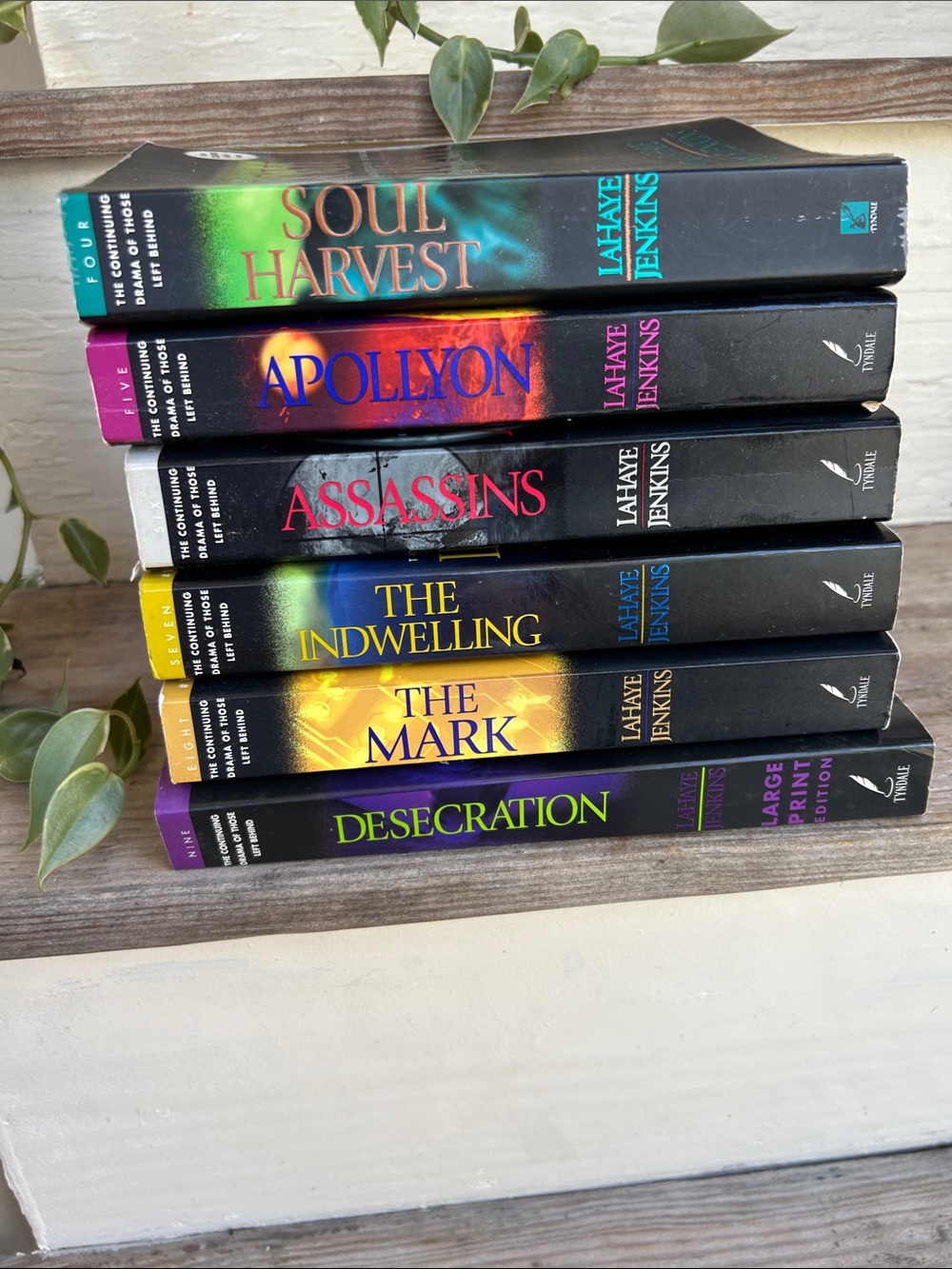 Left Behind Series 6 Volume Set in Paperback